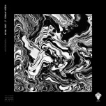 Release cover artwork for Monoideism