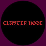 Cluster Node