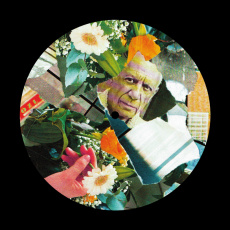 Cover art for This Life by Shamos