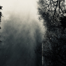 Cover art for The World is a Mad Joke by Ireen Amnes