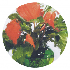 Cover art for My Feelings by John Pac