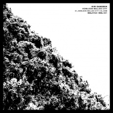 Cover art for Kowloon Walled City by Kim Gangmin