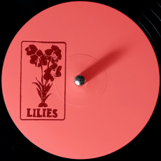 Cover art for LILIES2 by Jor-El