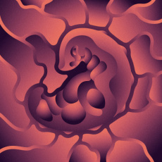 Cover art for They Live by Forest Drive West