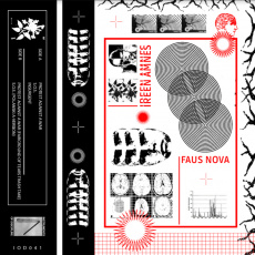Cover art for Faus Nova by Ireen Amnes