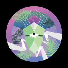 Cover art for Ceremony by Polyop