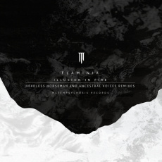 Cover art for Illusion In Fire by Flaminia