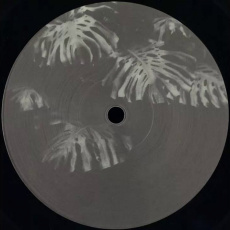 Cover art for Casia by Ben Kaczor